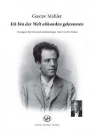 Ich bin der Welt abhanden gekommen 