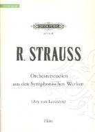 Orchestral Studies 