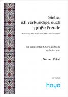 Siehe, ich verkündige euch große Freude 