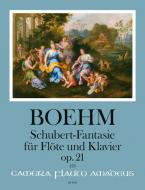 Fantasia on a theme by Schubert op. 21 