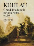 Grand trio in b minor op. 90 