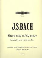 Sheep May Safely Graze 