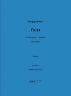 Fluss 