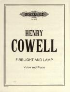 Firelight and Lamp 