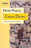 Cantante Domino 