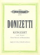 Concerto in D minor 