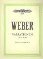 Variations on the Austrian Folk Song 'A Schüsserl und a Reind'rl' 