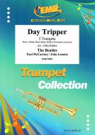 Day Tripper Download