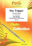 Day Tripper Download