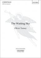 The Waiting Sky 