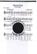 Bannerlied 