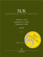 Symphony C minor op. 27 