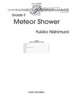 Meteor Shower 