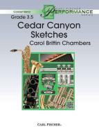Cedar Canyon Sketches 
