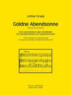 Goldne Abendsonne 