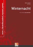 Winternacht 