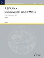 Sinnig zwischen beyden Welten Standard