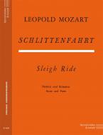 Die Schlittenfahrt 
