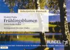 Frühlingsblumen 