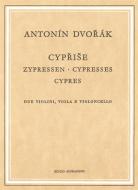 Zypressen 
