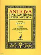 Sonata D Minor Standard