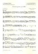 Concerto grosso Standard