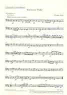 Sinfonia D Major Standard