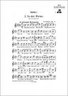 In der Ferne 
