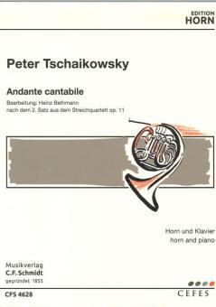 Andante cantabile 