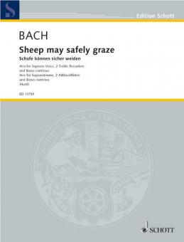 Sheep may safely BWV 208 Download