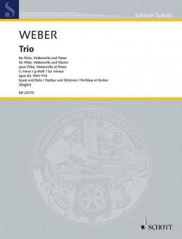 Trio G Minor Op. 63 Wev P.14 Download