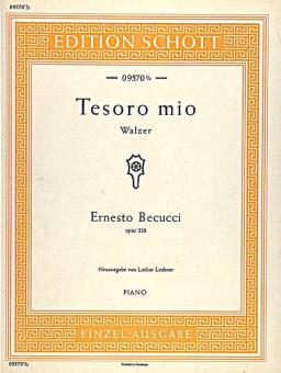 Tesoro Mio D Major Op. 228 Download