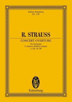 Concert Ouvertüre c-Moll o. Op. AV. 80 Download
