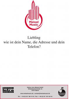 Liebling, wie ist dein Name, die Adresse und dein Telefon? 