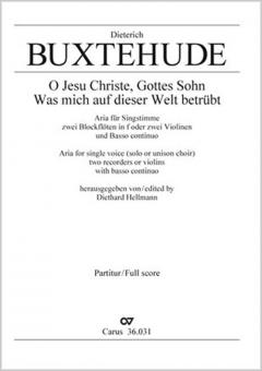 Was mich auf dieser Welt betrübt Download