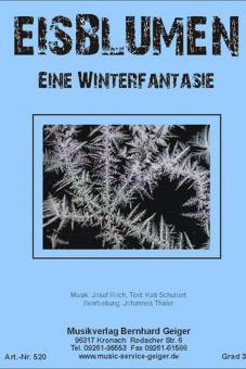 Eisblumen 