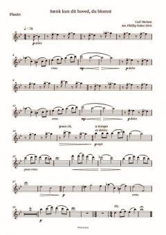 6 Songs By Carl Nielsen 