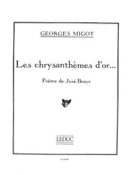 Chrysanthemes D Or 