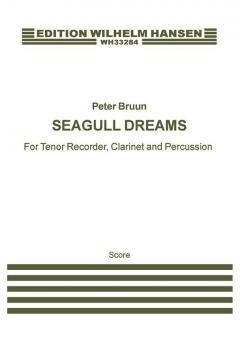 Seagull Dreams 