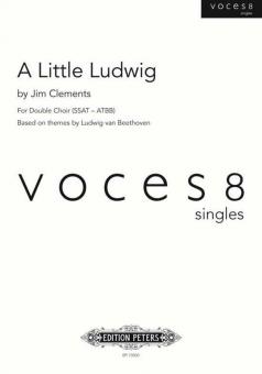 A Little Ludwig 