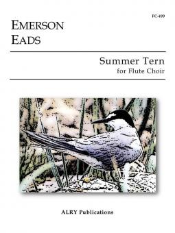 Summer Tern 