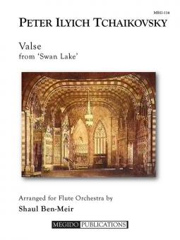 Valse from 'Swan Lake' 