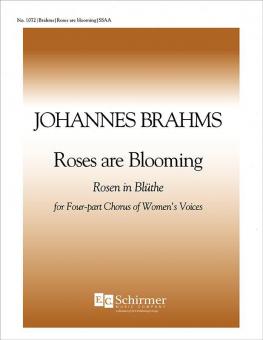 Roses are blooming 