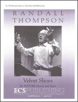 Velvet Shoes 