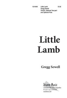 Little Lamb 