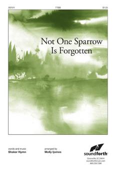 Not One Sparrow Is Forgotten 