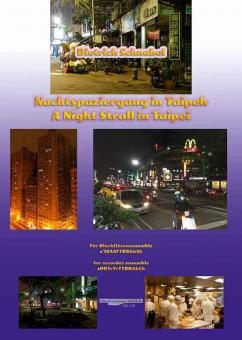 Nachtspaziergang in Taipeh 