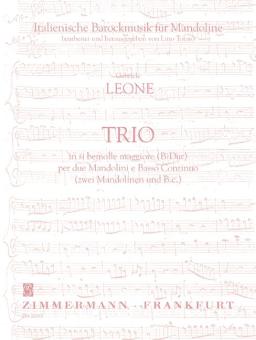Trio in B flat major 