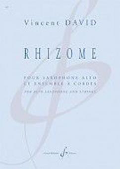Rhizome 