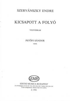 Kicsapott afolyó 